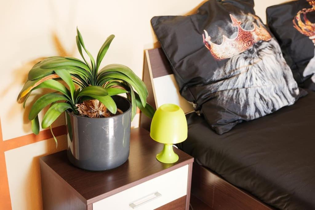 - 3-Bedroom Apartment Luxury: Central & Spacious In Duisburg & Big Tv And Kitchen - Buitenkant foto